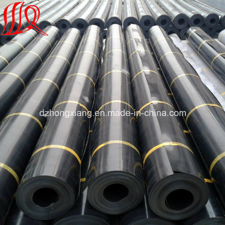 Geomembrane Film and Geotextile Factory/Manufacturer